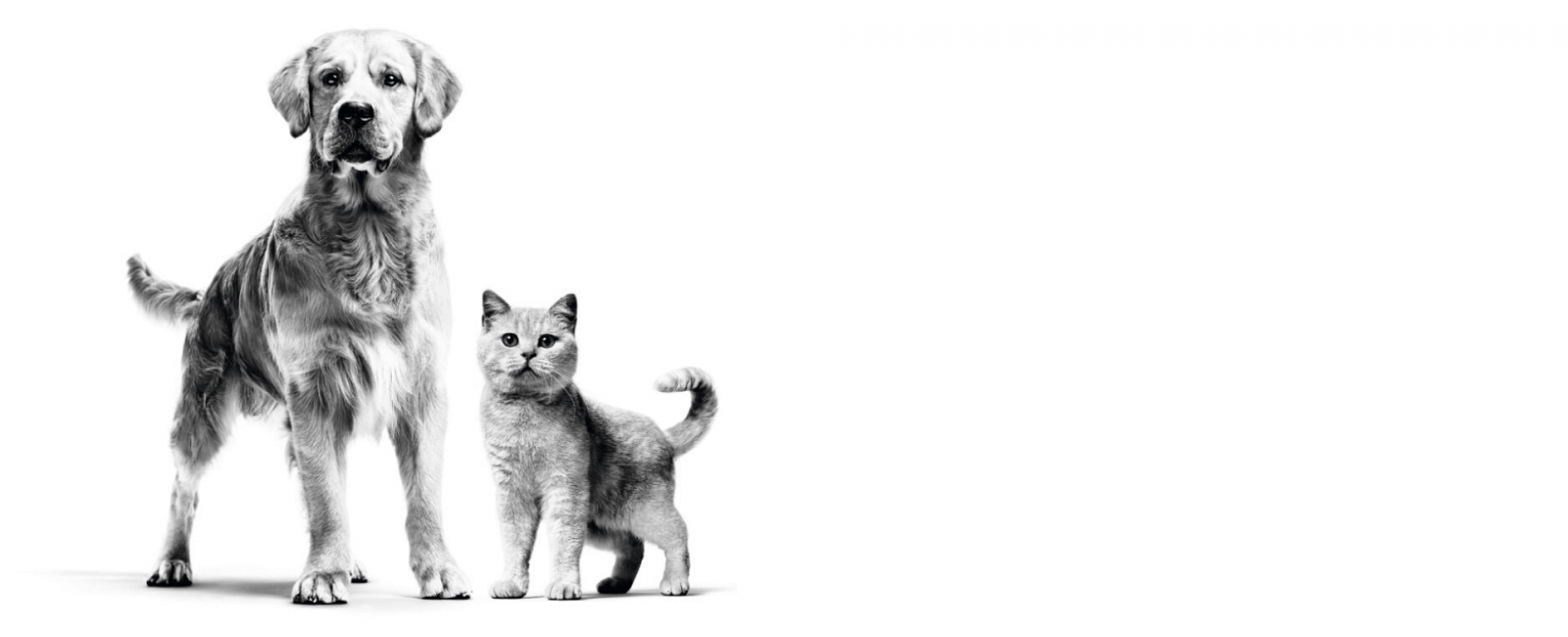 0001